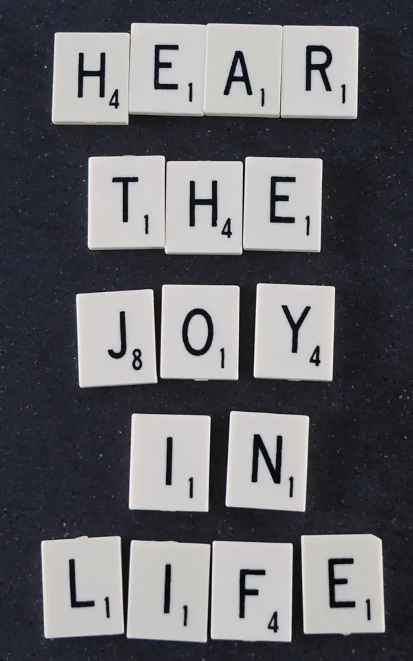 Hear The Joy In Life